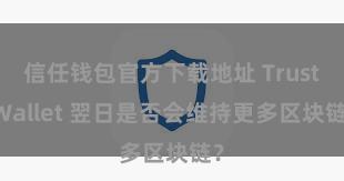 信任钱包官方下载地址 Trust Wallet 翌日是否会维持更多区块链？