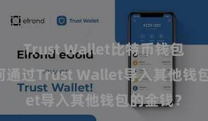 Trust Wallet比特币钱包下载 奈何通过Trust Wallet导入其他钱包的金钱？