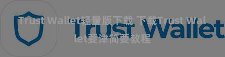 Trust Wallet轻量版下载 下载Trust Wallet要津简要教程